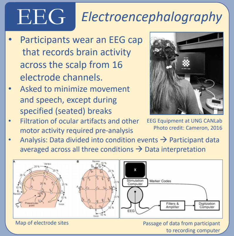 EEG